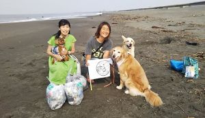 BEACH CLEAN for Beach Dog ... アイキャッチ