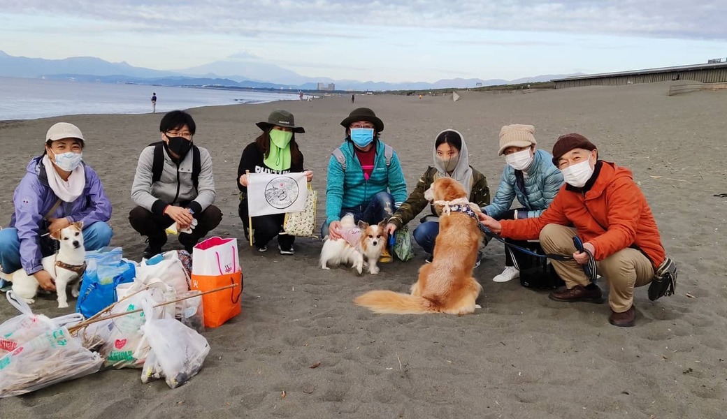 BEACH CLEAN for Beach Dogs アイキャッチ