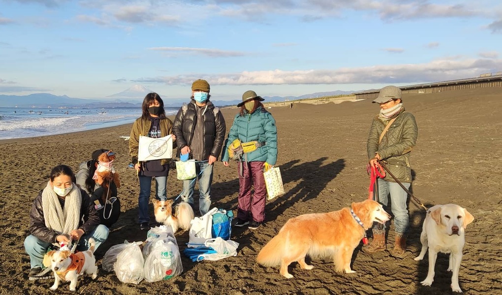 BEACH CLEAN for Beach Dogs アイキャッチ