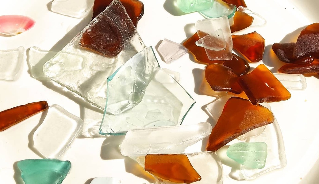 BEACH CLEAN for Beach Dogs アイキャッチ