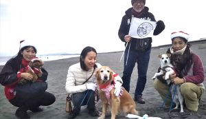 BEACH CLEAN for Beach Dog ... アイキャッチ