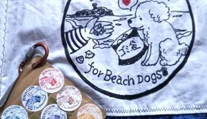 BEACH CLEAN for Beach Dog ... アイキャッチ