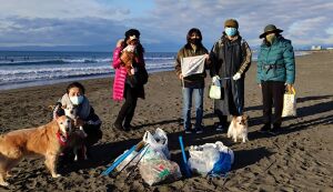 BEACH CLEAN for Beach Dog ... アイキャッチ