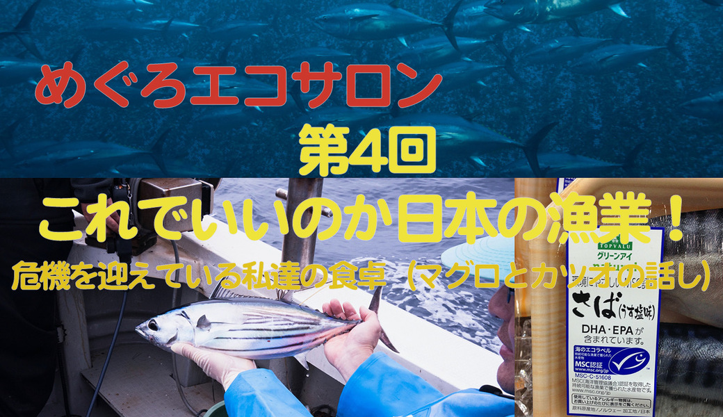 めぐろエコサロン「これでいいのか日本の漁業！〜危機を迎えている私達の食卓」 アイキャッチ