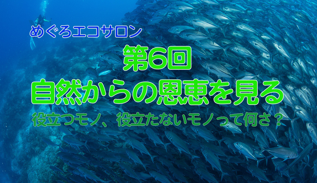 環境セミナー・めぐろエコサロン「自然からの恩恵を見る〜役立つモノ、役立たないモノって何なのさ？」 アイキャッチ