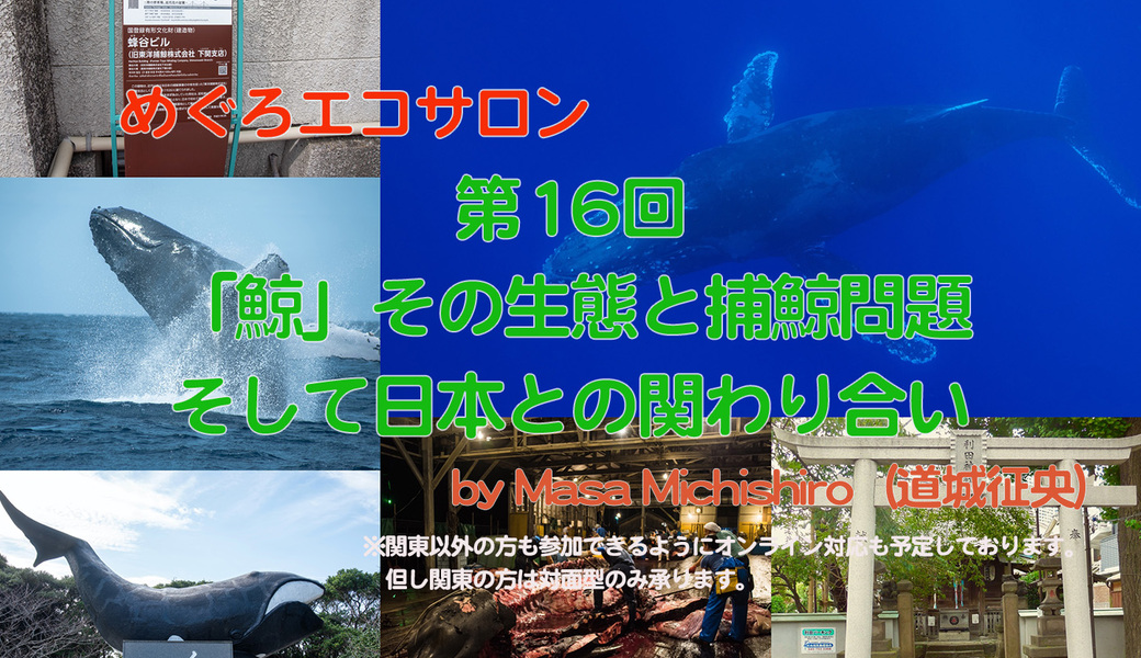 第16回めぐろエコサロン「簡単なこと生物多様性の保全は？“生物多様性と市民活動”？」 アイキャッチ