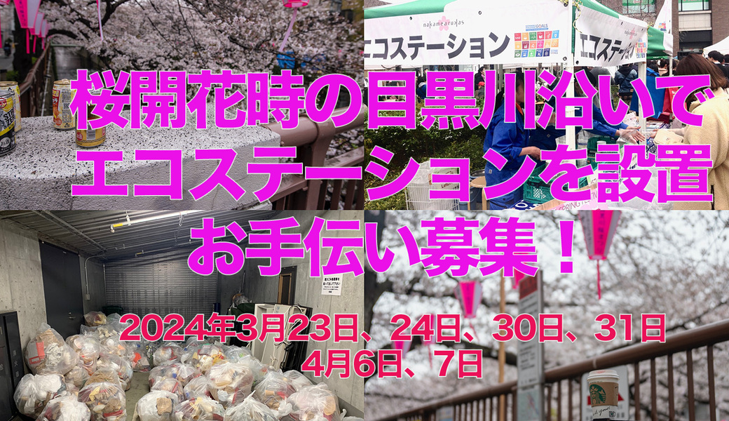 目黒川沿い緑道桜開花時に設置するエコステーション・お手伝い募集！【2024/3/31】 アイキャッチ