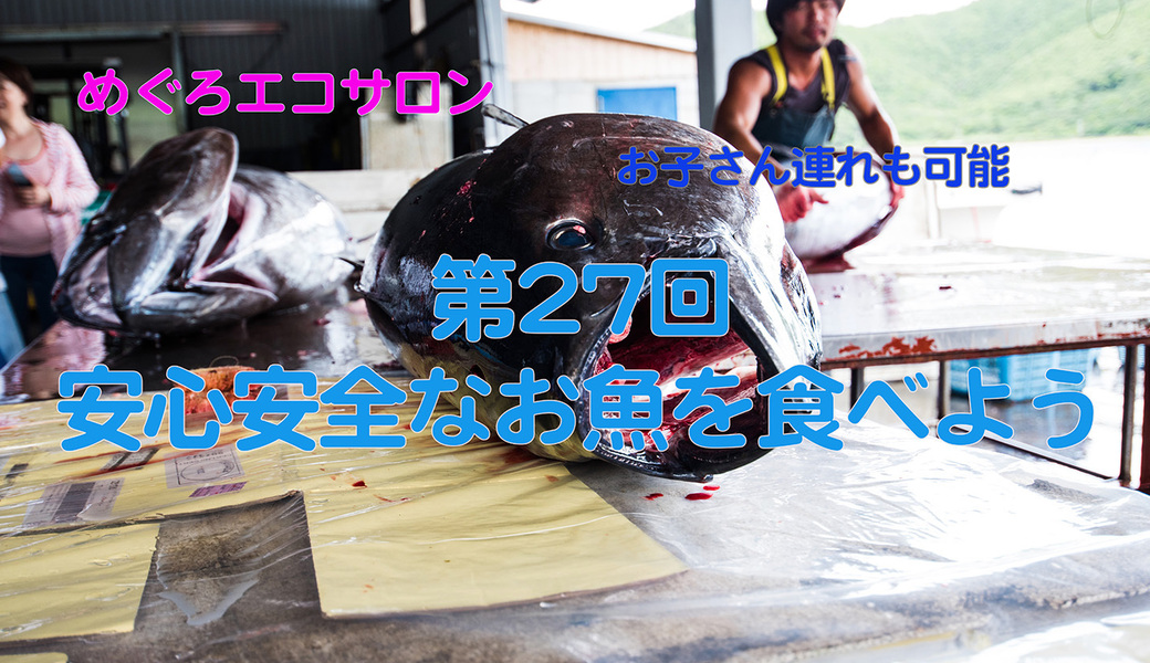 第27回めぐろエコサロン「安心安全なお魚を食べよう」 アイキャッチ
