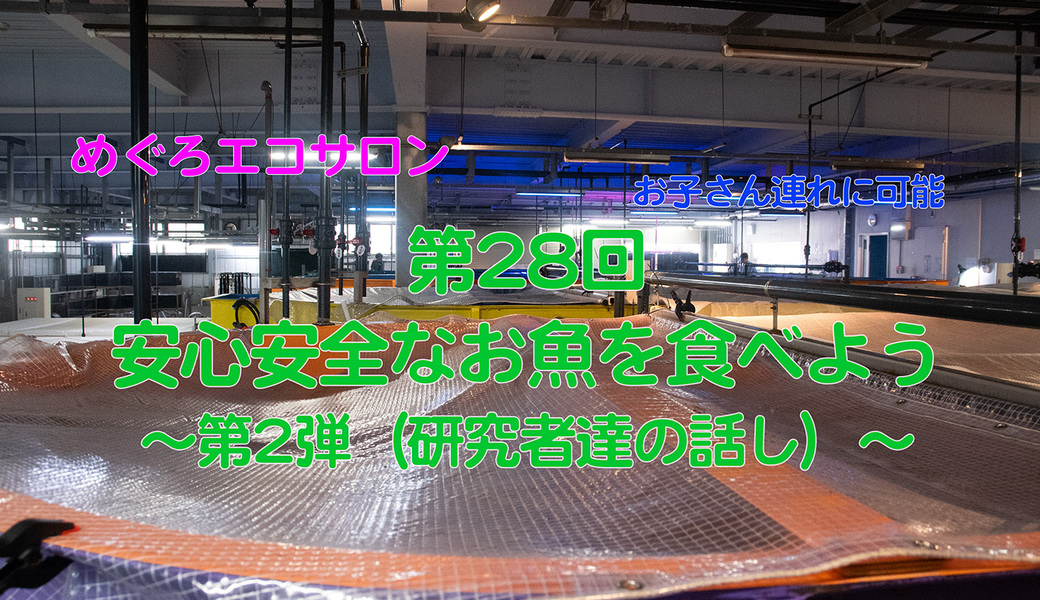 第28回めぐろエコサロン「安心安全な魚を食べよう〜第2弾（研究者達の話し）〜」 アイキャッチ