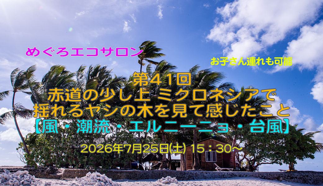第41回めぐろエコサロン「赤道の少し上 ミクロネシアで揺れるヤシの木を見て感じたこと【風・潮流・エルニーニョ・台風】」 アイキャッチ
