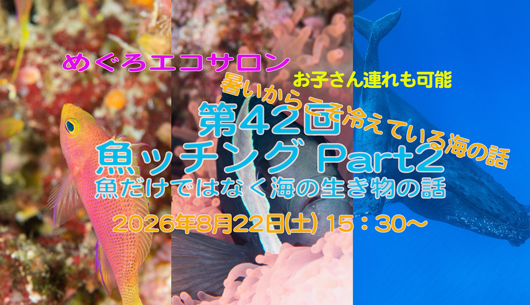 第42回めぐろエコサロン「魚ッチング Part 2」 アイキャッチ