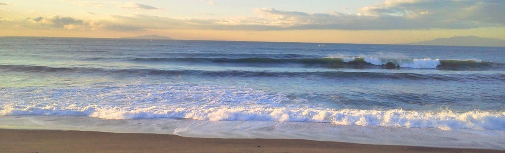 フリュードパワーサーフィンクラブ カバー