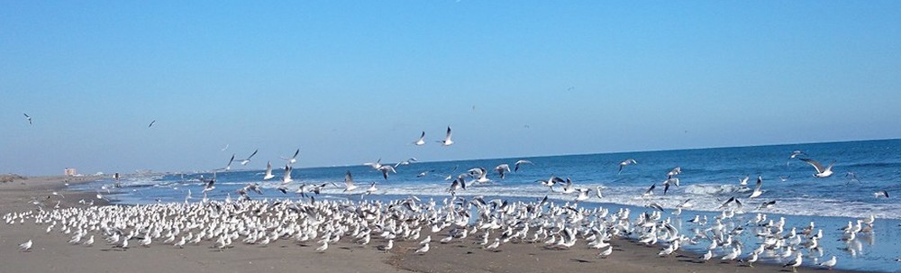 有限会社広部製作所 カバー