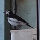 有限会社広部製作所 プロフィール