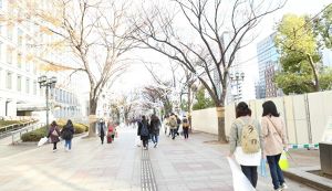 クリスマスはごみ拾いで、街に素敵なプレゼントを！ アイキャッチ