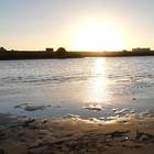 オフィス雅 プロフィール