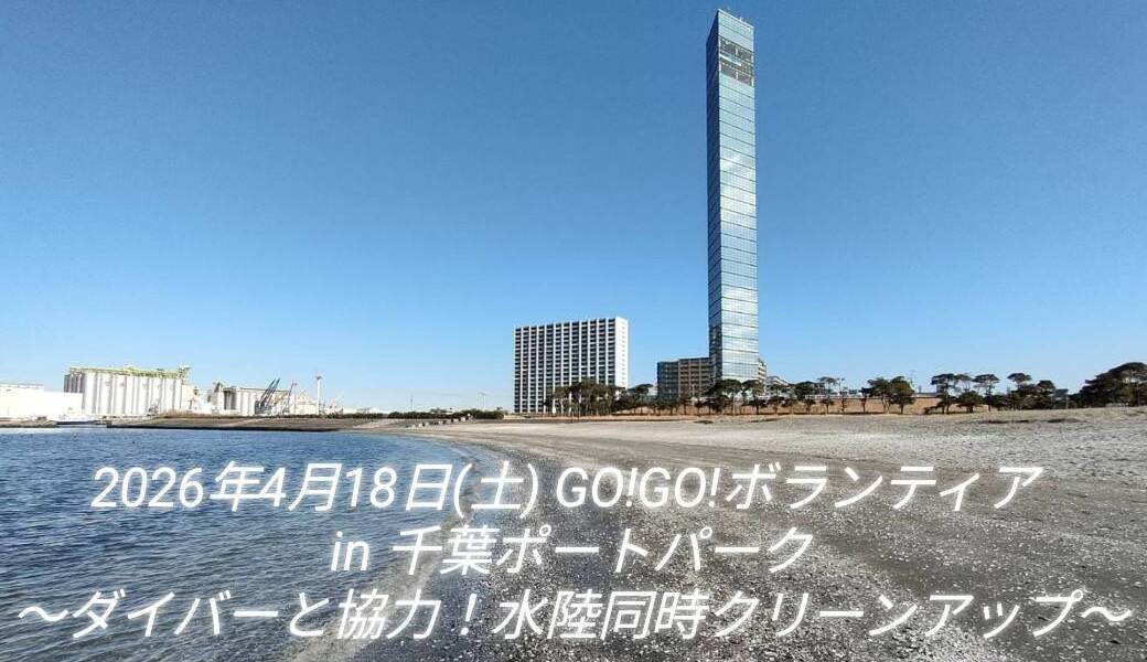 【臨時開催】GO!GO!ボランティアin千葉ポートパーク​～ダイバーと協力！水陸同時クリーンアップ～ アイキャッチ