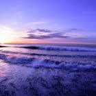 茅ヶ崎海から自然を守る会 プロフィール