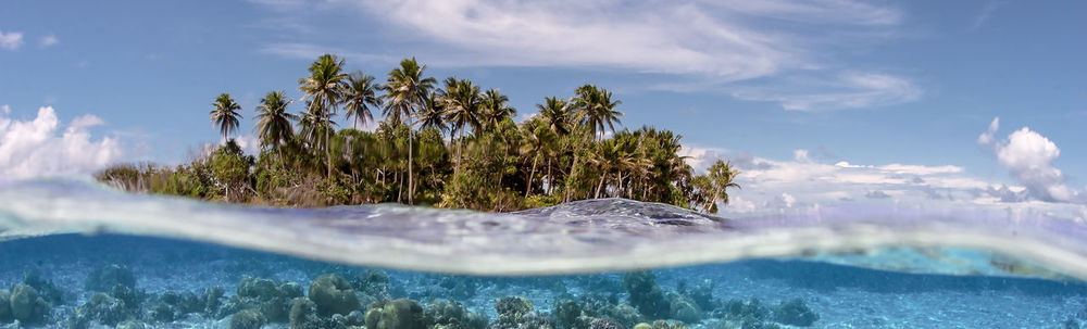 ダイビングスクール WITH 新宿 カバー