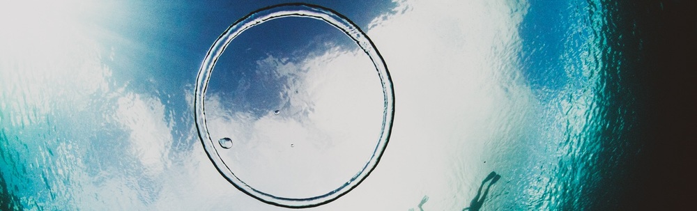 Blue Turtle Ocean Sports カバー