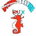 ダイビングサービス はまゆ プロフィール