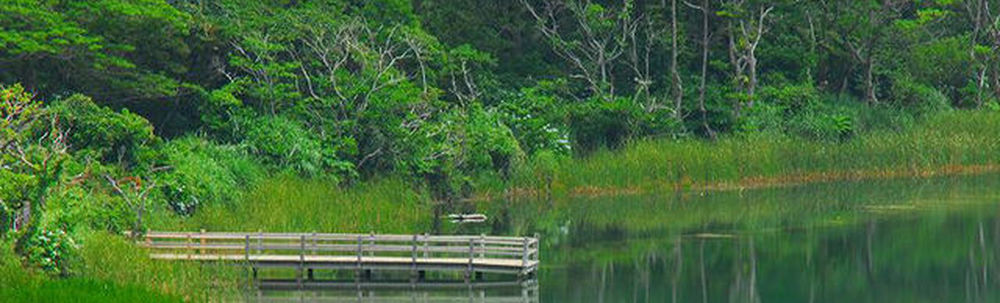 スナッパーダイビングセンター カバー