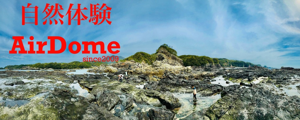 自然体験　AirDome(エアードーム) カバー