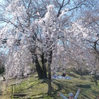 あわっ子!エコ!クラブ プロフィール