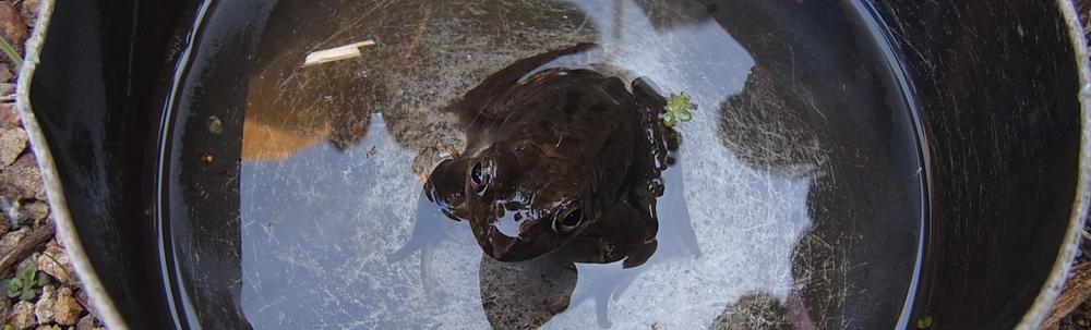 NPO法人あそベンチャースクール カバー