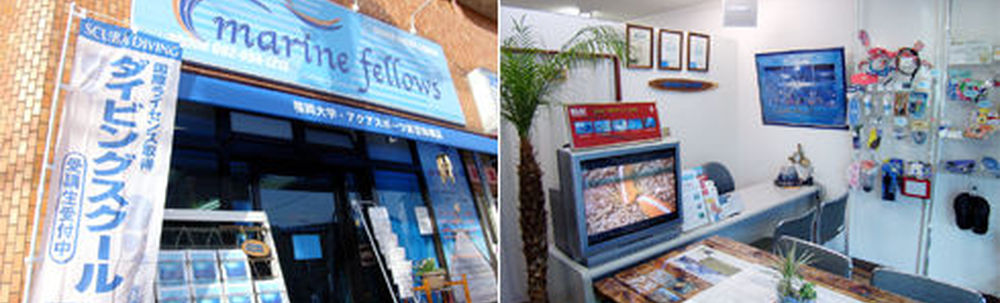 marine fellows カバー