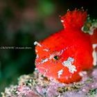 Scuba Diving Shop CROSS WAY プロフィール