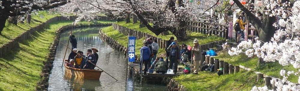 新河岸川水系水環境連絡会 カバー