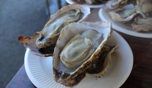 SHIMOSYO－FISHERMAN’S  SHO ... アイキャッチ