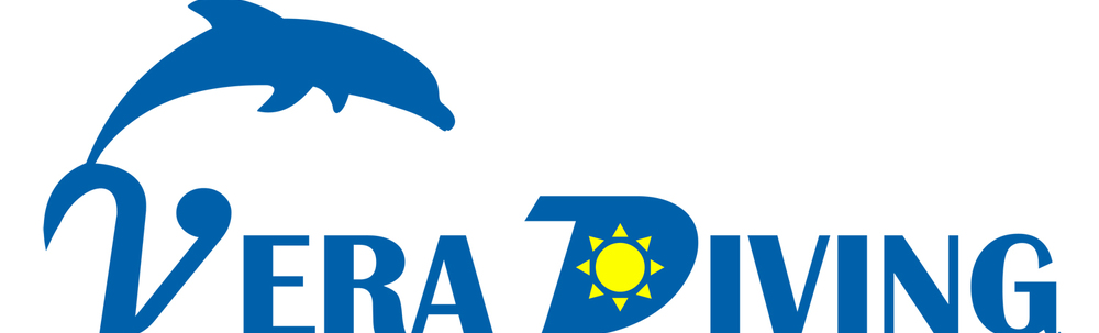 ベラ　ダイビング カバー