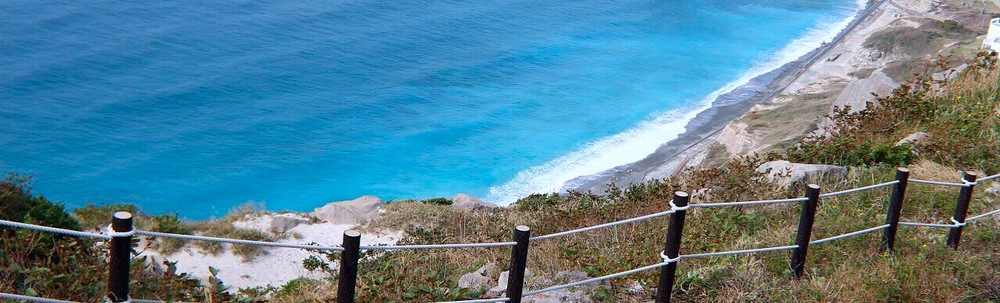 ヴィニー(ASE BOUND) カバー