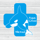 Nexus Inc. プロフィール