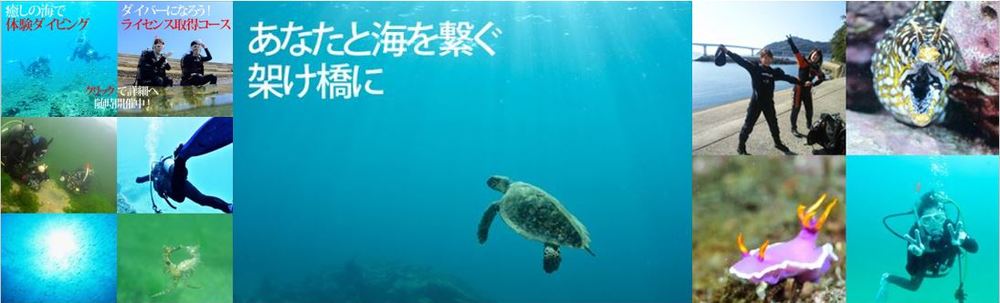 ダイビングサービス海だより カバー
