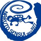 鳴門潜水 プロフィール