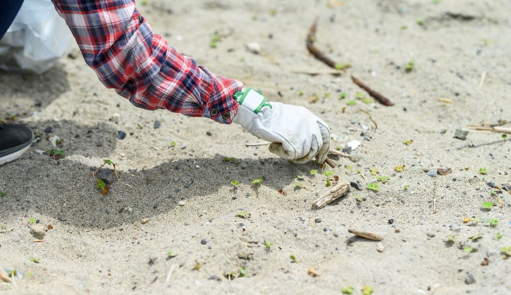 深沼ビーチクリーンvol.17 アイキャッチ