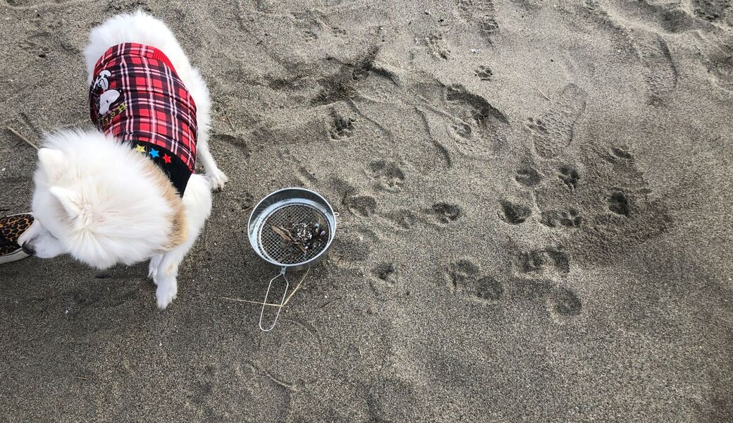 深沼ビーチクリーンvol.25 アイキャッチ