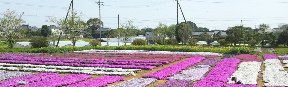 ボーイスカウト銚子第3団　ビーバー隊 カバー
