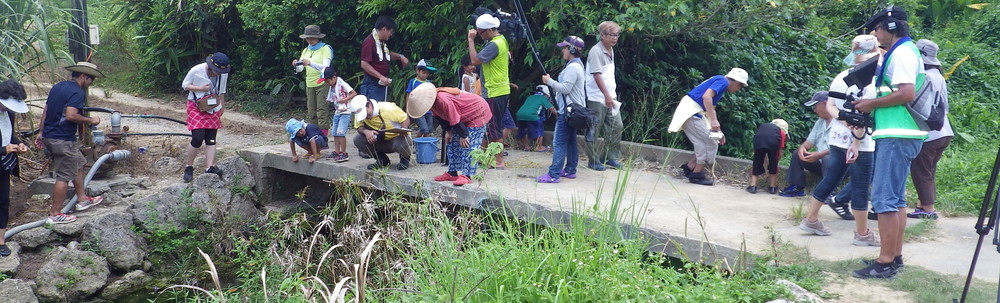 うるま市水と緑を考える会 カバー