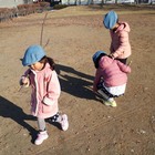 りんごぼうえいたい プロフィール