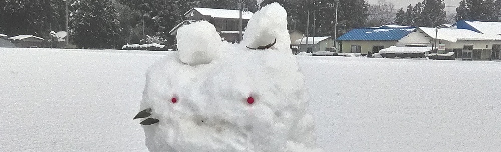 りんごぼうえいたい カバー