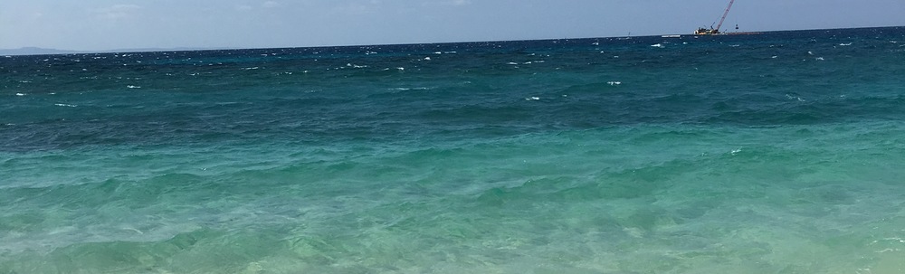 Beach Clean Up Okinawa カバー