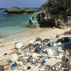 Beach Clean Up Okinawa プロフィール