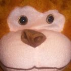 他団体参加型 プロフィール