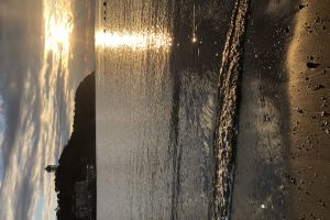 江の島ごみ拾い アイキャッチ