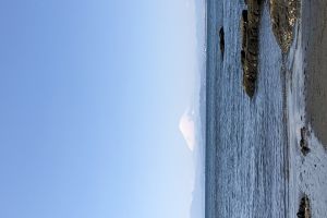江の島ごみ拾い アイキャッチ