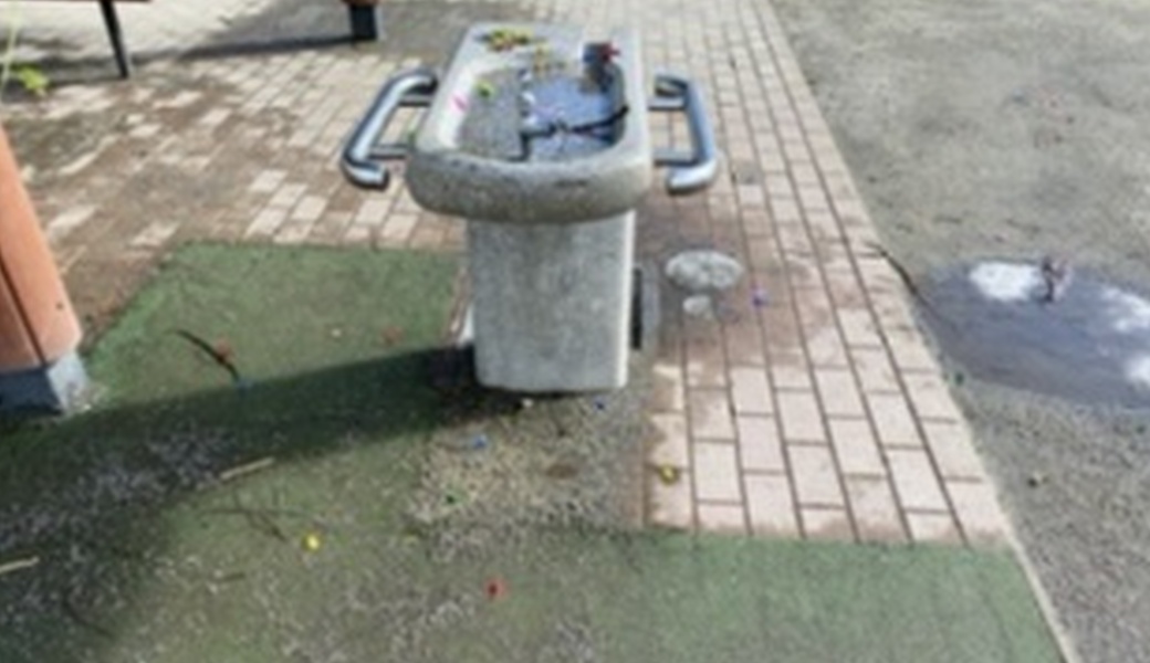 幹線道路のごみ拾い レポート